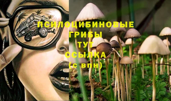 Альфа ПВП Осташков