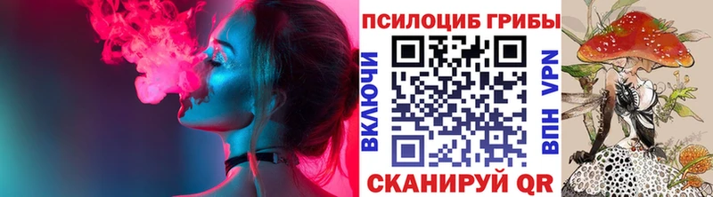 Псилоцибиновые грибы Cubensis купить закладку Татарск