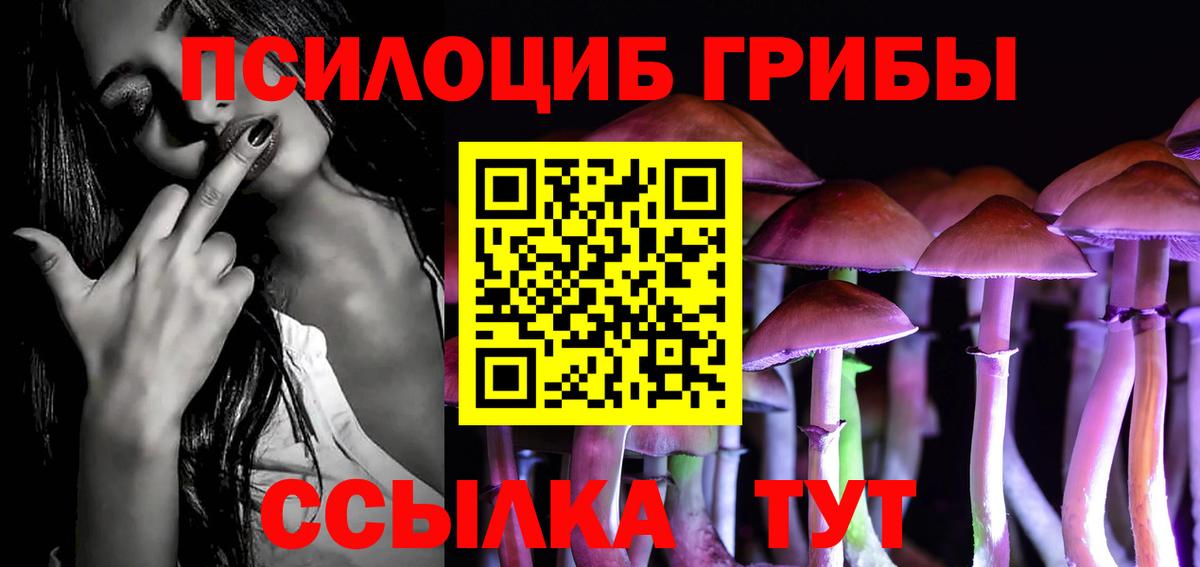 Татарск  Псилоцибиновые грибы ЛСД  Вход с VPN 